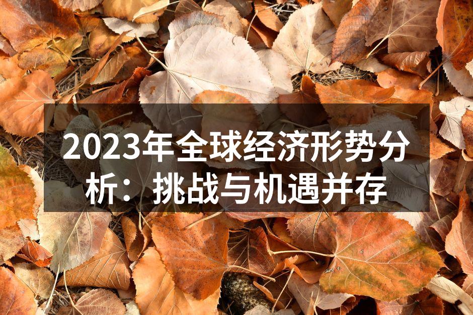 2023年全球经济形势分析：挑战与机遇并存
